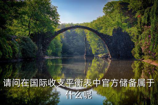 請問在國際收支平衡表中官方儲(chǔ)備屬于什么呢