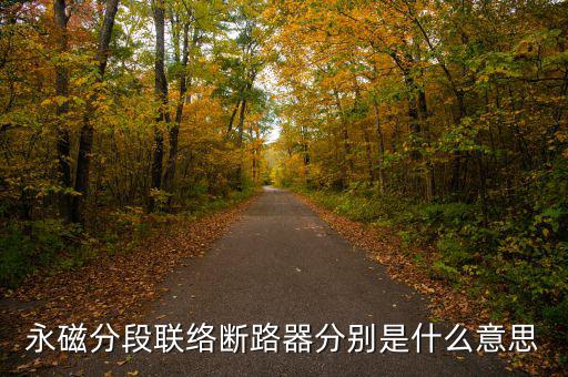 什么是永磁開關(guān)，什么是永磁
