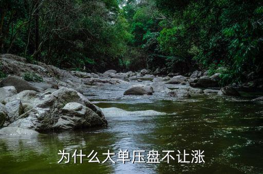 大單壓盤不讓漲是什么意思，為什么在巨單壓盤為什么不讓漲