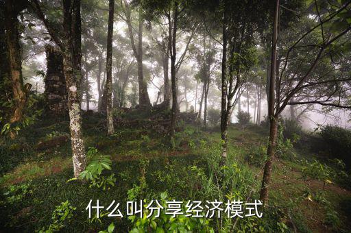什么是分享經(jīng)濟，通俗講什么是分享經(jīng)濟