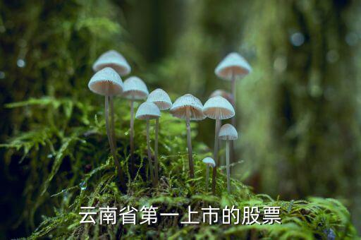 沃森生物是什么股，業(yè)績巨虧的沃森生物為什么股價那么高