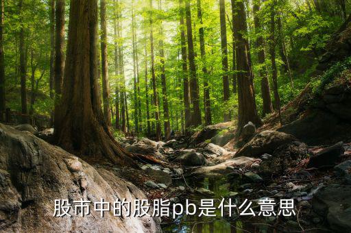 股票中pb是什么意思，股市中的股脂pb是什么意思