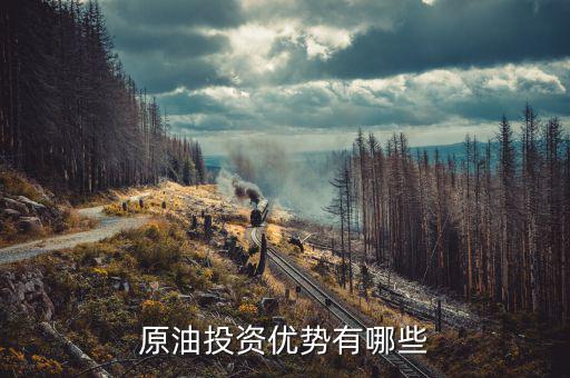 國家對投資原油有什么扶持，原油是國家支持的嗎