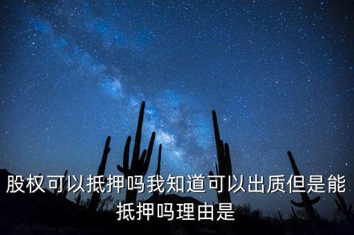 股權為什么不能抵押，股權可不可以進行抵押