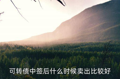 可轉(zhuǎn)債一般什么時候賣出，中國銀行可轉(zhuǎn)債什么時候能賣出