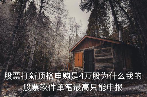 股票打新頂格申購(gòu)是4萬股為什么我的股票軟件單筆最高只能申報(bào)