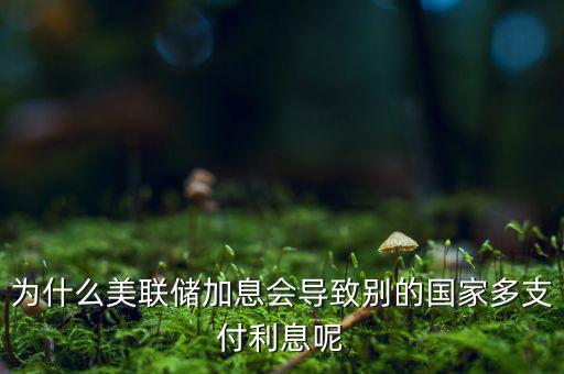 為什么美國加息，美國加息是什么意思