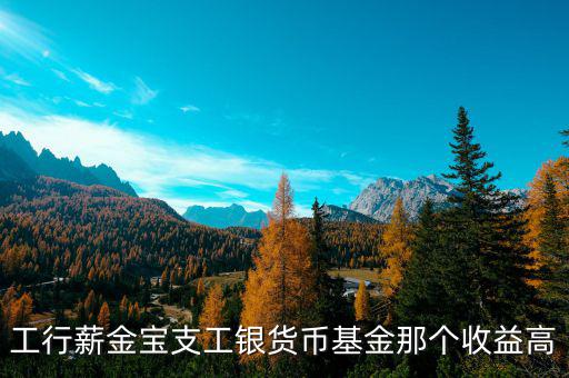 工銀薪金寶是什么意思，想買工行薪金寶懂得朋友進來看下