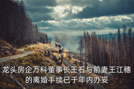 王石什么時(shí)候離婚的，龍頭房企萬科董事長王石與前妻王江穗的離婚手續(xù)已于年內(nèi)辦妥