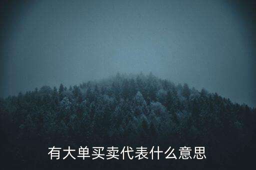 在買5成交有大單是什么意思，股票中大單是什么意思