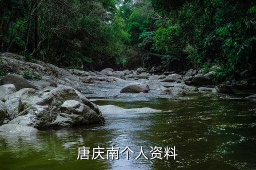 唐慶南為什么被逮捕，唐慶南被判刑