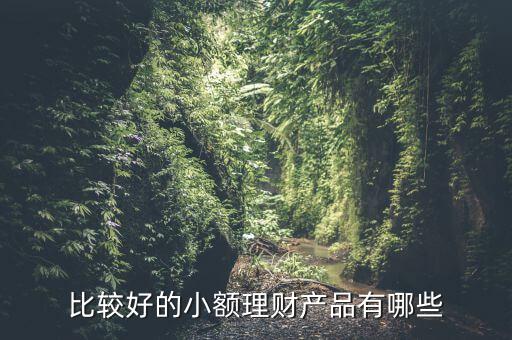 有什么小額理財(cái)產(chǎn)品，小額理財(cái)投資產(chǎn)品有哪些