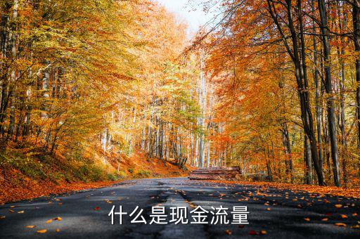 什么是現(xiàn)金流量，現(xiàn)金流量是指什么說得簡單一點謝謝