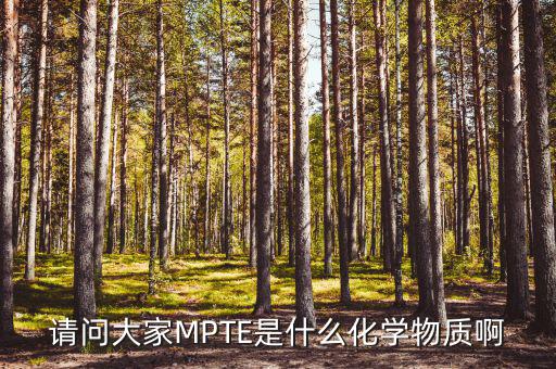 汽油的mpte是什么，汽油里MPTE是什么