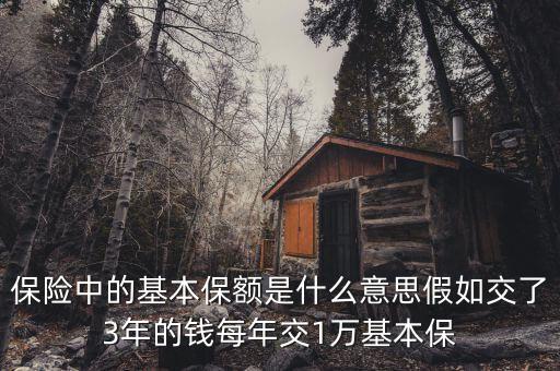 基本保額是什么意思，基本保險(xiǎn)金額是什么意思