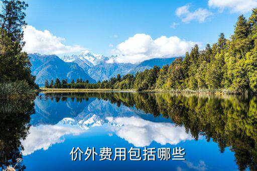 政府性基金是什么意思，何為政府性資金國有企業(yè)投資時(shí)其資本金部分算不算政府資金