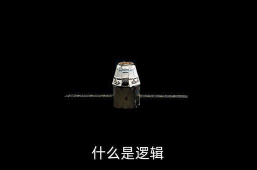 邏輯是什么，什么是邏輯