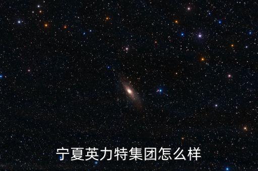 寧夏英力特集團怎么樣