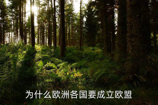 為什么歐盟很多國(guó)家和美國(guó)結(jié)盟，為什么歐洲各國(guó)要成立歐盟