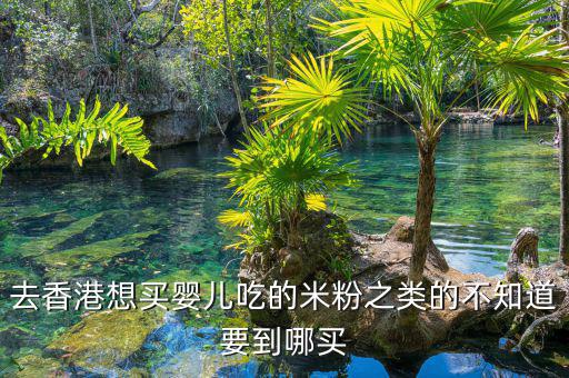 去香港想買(mǎi)嬰兒吃的米粉之類的不知道要到哪買(mǎi)