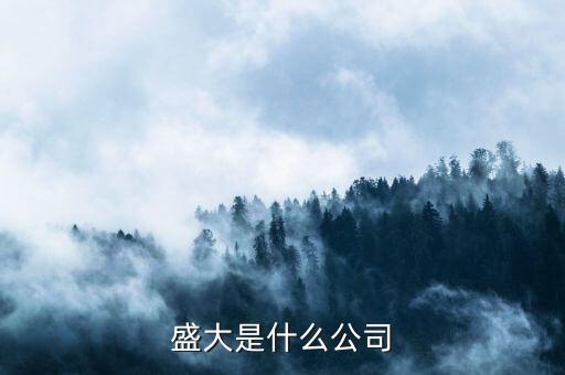 盛大集團(tuán)是經(jīng)營(yíng)什么，盛大是什么公司