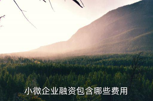 小微企業(yè)兩禁資金管理費(fèi)指什么，減半征收城鎮(zhèn)土地使用稅和房產(chǎn)稅的小微企業(yè)標(biāo)準(zhǔn)