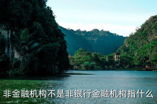非金融機構(gòu)指什么，非金融機構(gòu)不是非銀行金融機構(gòu)指什么
