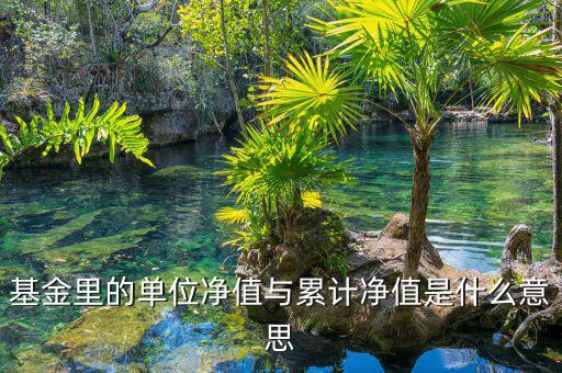 基金凈值和累計凈值是什么，基金里的單位凈值與累計凈值是什么意思