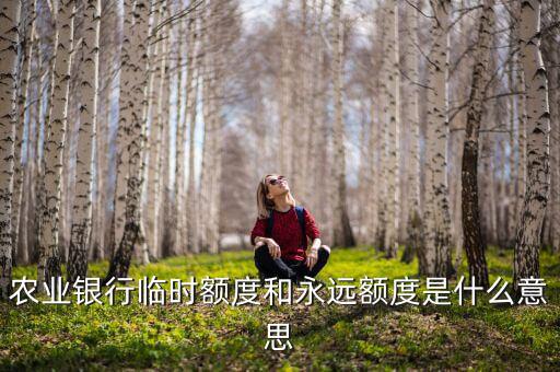 農(nóng)業(yè)銀行臨時額度和永遠額度是什么意思