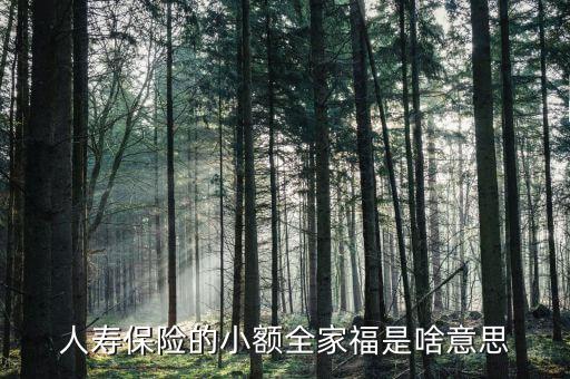 人壽全家福是什么意思，人壽保險的小額全家福是啥意思