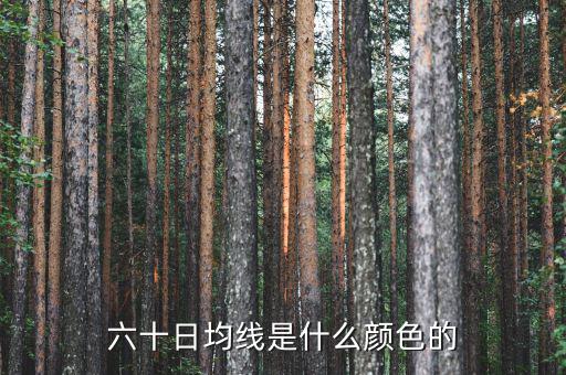 60日均線是什么顏色，5日10日60日線是什么怎么看是什么顏色