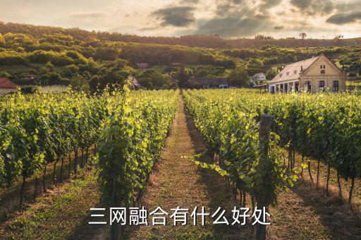 南寧廣電三網(wǎng)融合有什么用，三網(wǎng)融合有什么好處