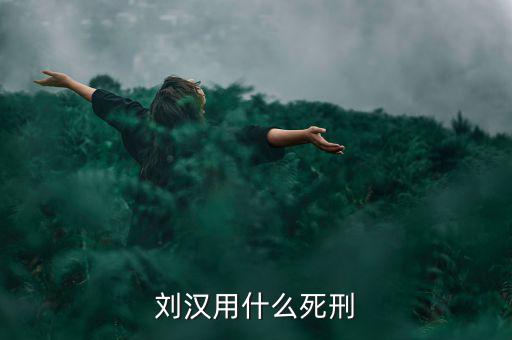 劉漢什么罪，劉漢用什么死刑