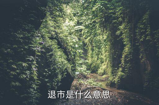 退市是什么意思，退市是什么意思