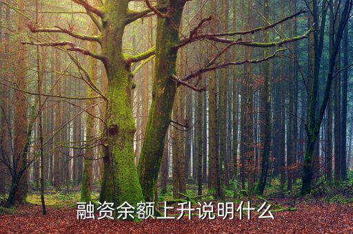濰柴融資額度很高說明什么，融資余額上升說明什么