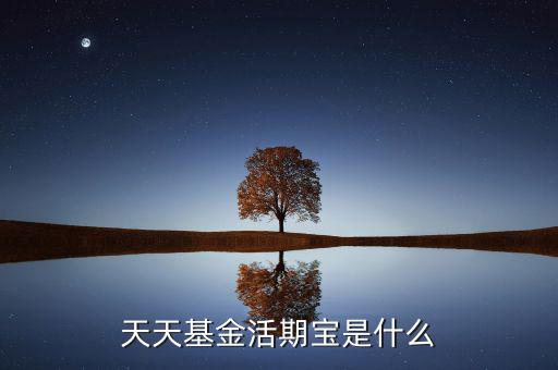 活期寶是什么基金，天天基金活期寶是什么