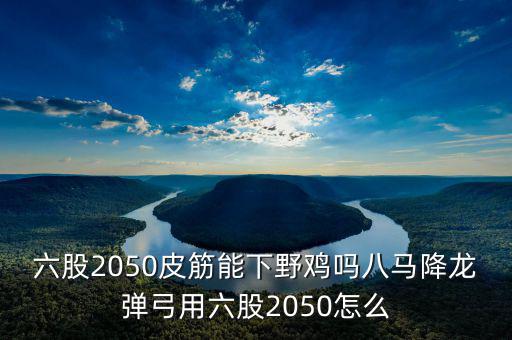 2050四股能下什么貨，2050四股到底配多大的鋼O合適