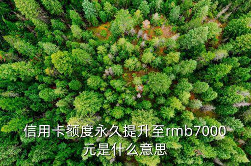 信用卡永久額度是什么意思，信用卡額度永久提升至rmb7000元是什么意思