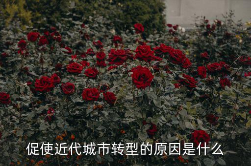 為什么城鎮(zhèn)化要轉(zhuǎn)型，促使近代城市轉(zhuǎn)型的原因是什么
