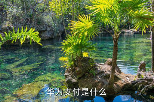 華銀支付是什么，華為支付是什么