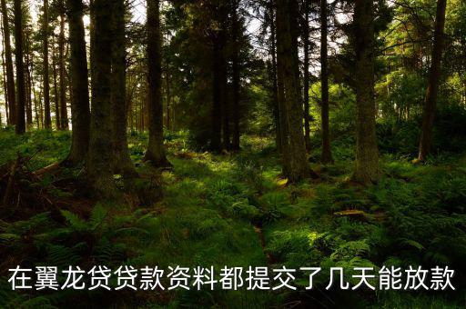 翼龍貸什么時候放項目，在翼龍貸貸款資料都提交了幾天能放款