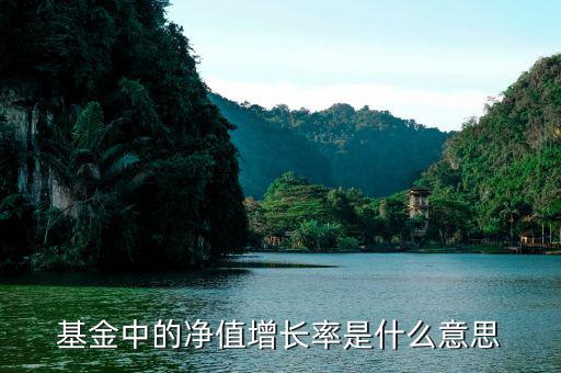 基金增長率是什么意思，在基金里成立以來增長率是什么意思啊如成立以來增長率是80