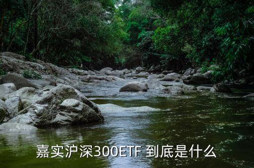 深證etf是什么，ETF 是什么意思