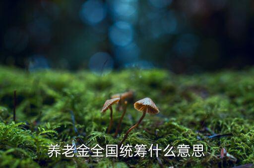 養(yǎng)老金統(tǒng)籌是什么意思，養(yǎng)老金全國(guó)統(tǒng)籌什么意思
