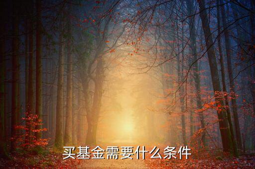 買基金有什么條件，買基金都需要什么條件啊