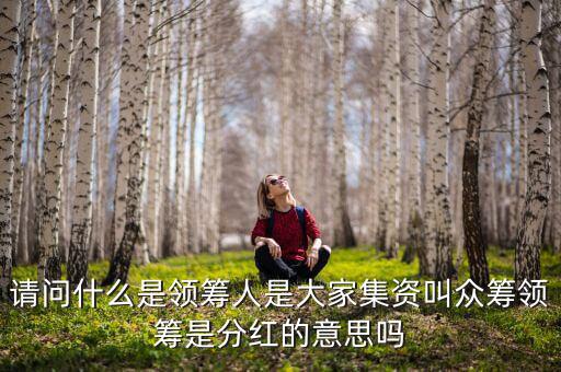 什么是領(lǐng)投人，請(qǐng)問什么是領(lǐng)籌人是大家集資叫眾籌領(lǐng)籌是分紅的意思嗎