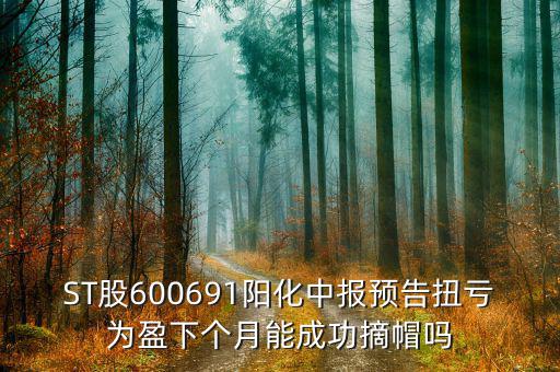 st陽(yáng)化什么時(shí)候能摘帽，ST船舶什么時(shí)候可以摘帽