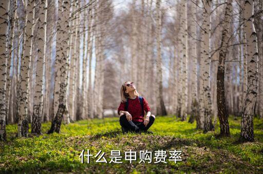 申購費(fèi)率是什么，基金里面的購回費(fèi)率和申購費(fèi)率是什么意思啊舉個(gè)例子唄
