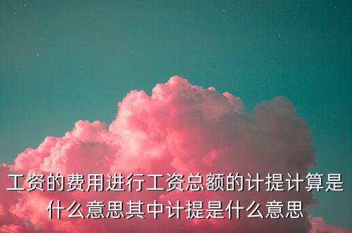 工資的費(fèi)用進(jìn)行工資總額的計提計算是什么意思其中計提是什么意思