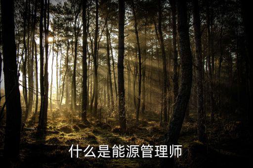 什么是能源沙，煤沙是什么是煤沒有燃燒之前篩選出來的還是燃燒過之后產(chǎn)生的